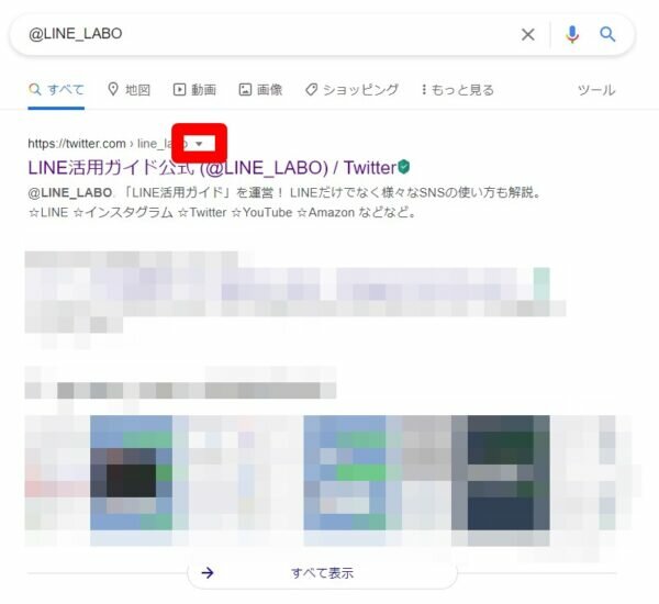 ツイート 非公開 覗き見